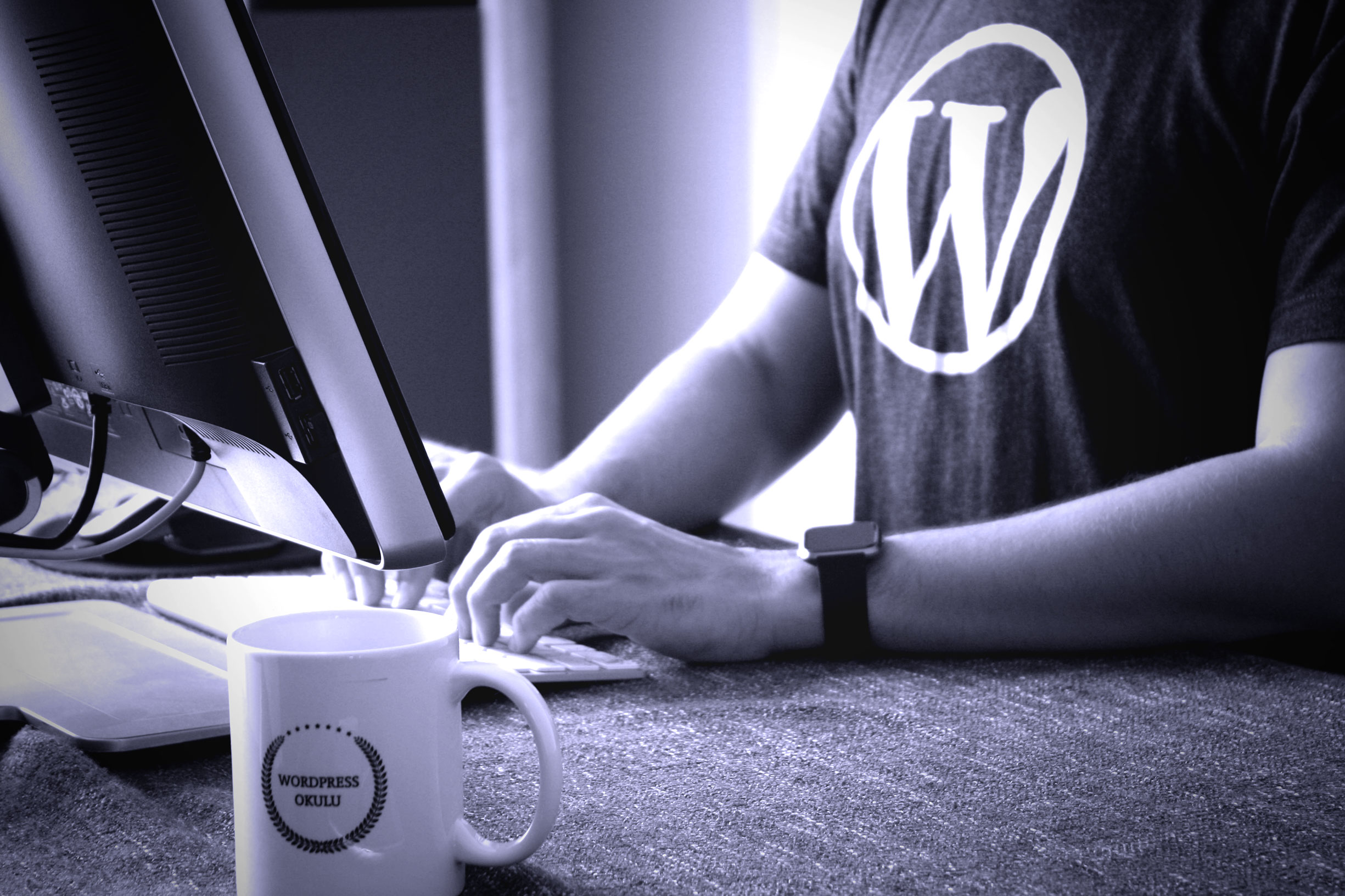wordpress WP Orchestra WordPress služby